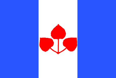 File:Eleratflag.png