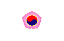 Taesong flag.png