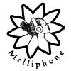 UE-melliphone.png