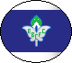 Ewlynn Border Crew FC Badge.png