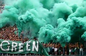 Zeleni fans v Senya 2017.png
