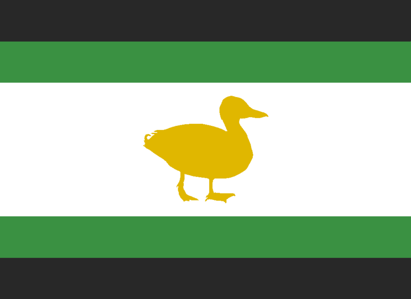 File:Tiana flag old.png