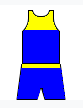 File:Vanyabasketkit.png