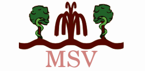 File:MSVlogo.png