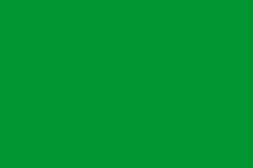 File:Green flag.png