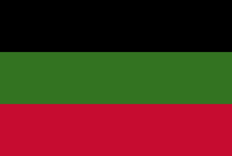 File:Arzava flag.png