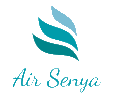 File:Air Senya logo.png