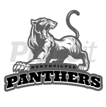 File:Northsilver Panthers.png