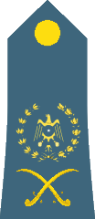 File:OF-07 BAK airforce.png