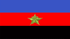 File:Hammish Monovia flag.png