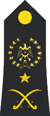 File:OF-08 BAK navy.png