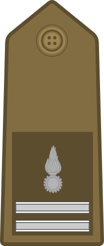 File:SSV Rank OR-8.png