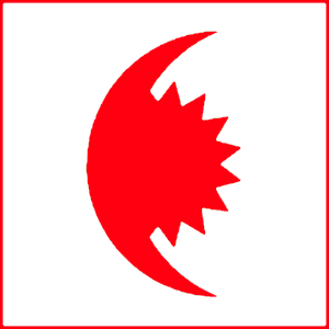 File:Rsms flag.png