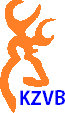 Logo of the KZVB