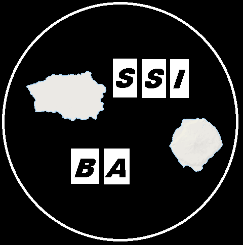 File:SSIBA logo.png