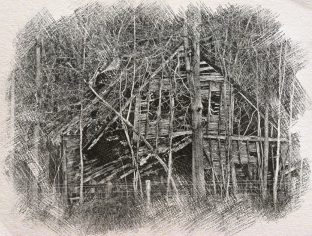 File:FieldNotes AbandonedHouse.png