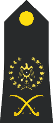 File:OF-07 BAK navy.png