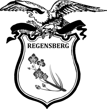 File:Regensberg FC.png