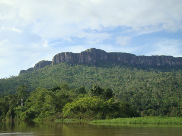 File:Port Balaine moist broadleaf forest.jpg