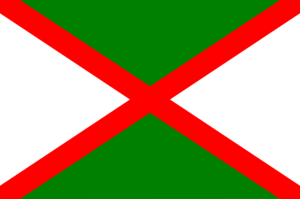 Matamoros flag.png