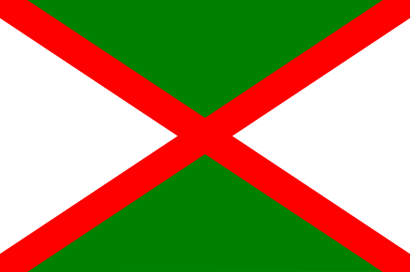 File:Matamoros flag.png