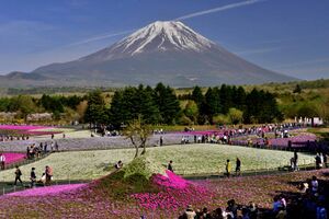 Mount Kuhama.jpg