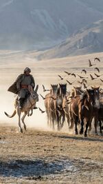 CaspazaniLivestockScene