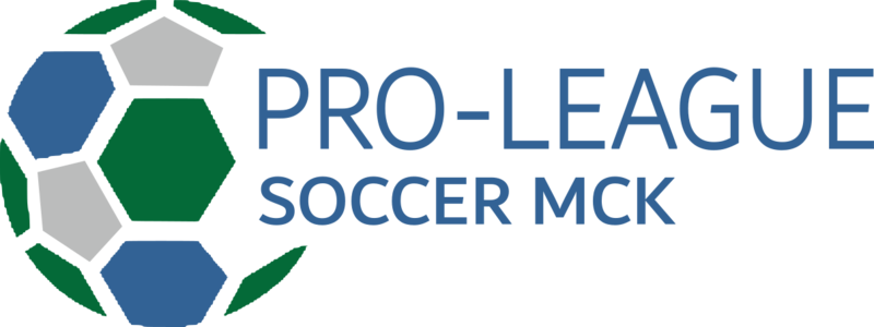 File:Meckelnburgh Pro-League Soccer logo.png