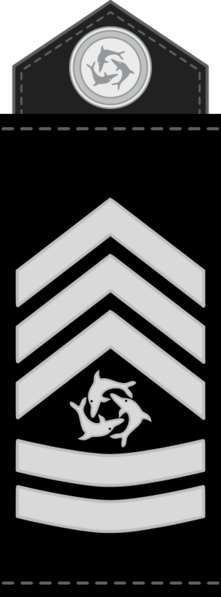 File:Port Balaine rank GN-7.png