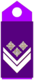 OR-8 Air Force.png