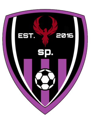 Springwind Phoenix FC Logo.png