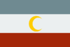 Zaidin flag.png