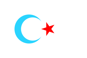 Türkiye Turkestan flag.svg