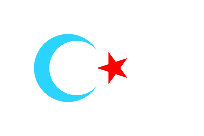 File:Türkiye Turkestan flag.svg