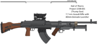 Pachad Rifle.png