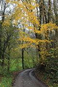 Hiking in autumn