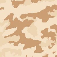 Cakari khaki camouflage.jpg