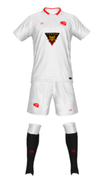 Florian Republic rugby union kit.png