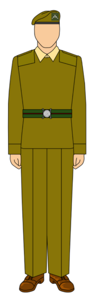 File:FLO Service Uniform.png