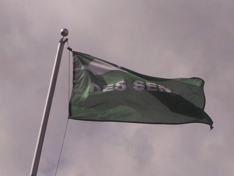 File:Senyan flag flying in Svorgas.jpg