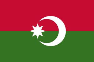 Flag of Betayurdu.png