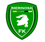 Yeşil Merinosaspor.png