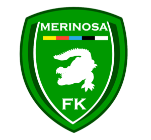 Yeşil Merinosaspor.png