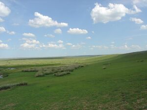 Kōkainese Grassland-Hasnah.jpg