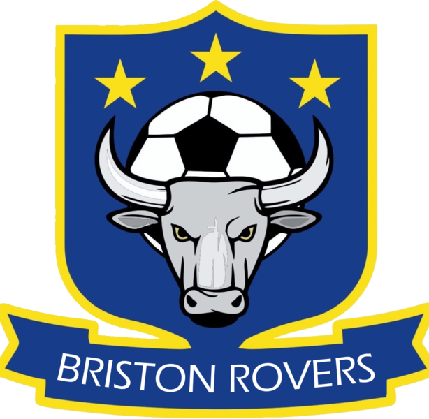 File:Briston Rovers FC logo.png