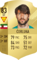 Martin Ćorluka