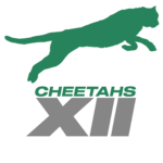 Cheetahs XII.png