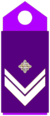 OR-6 Air Force.png