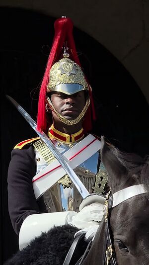 Normandic Euran Guard.jpg