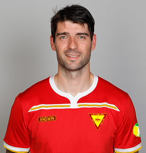 Martin Ćorluka.png